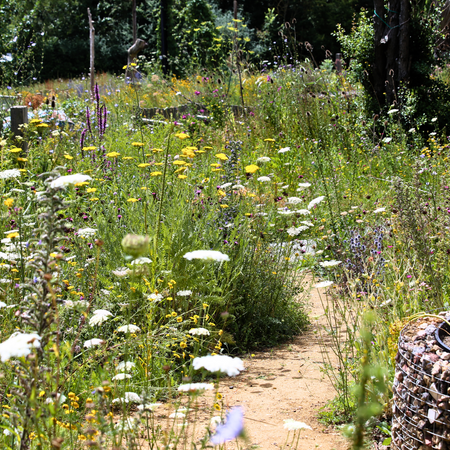 Cottage Garden PS08 - From £1.65 per sq m