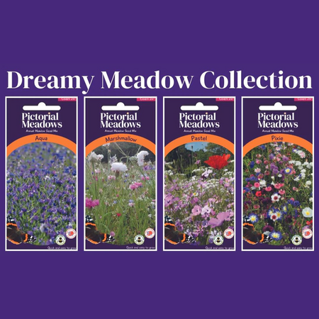 The Dreamy Meadow Collection - £15.00