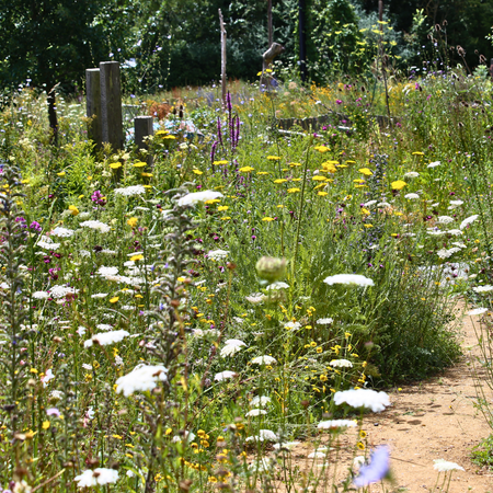 Cottage Garden PS08 - From £1.65 per sq m