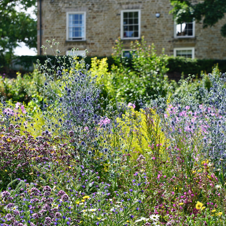 Super Pollinator PT08