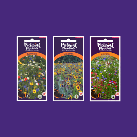 The Coronation Collection - £17.50