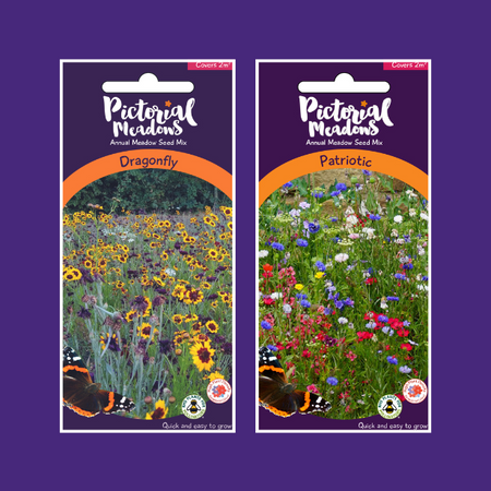 The Dramatic Meadow Collection - £12.50