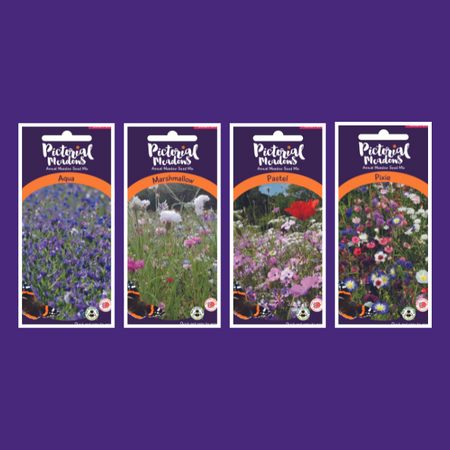 The Dreamy Meadow Collection - £24.00