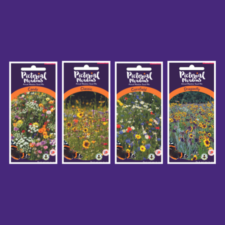 The Vibrant Meadow Collection - £24.00