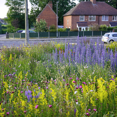 Future-Proofing: The benefits of multifunctional planting schemes