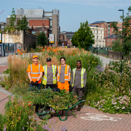 ["Sheffield’s Grey to Green Scheme"]