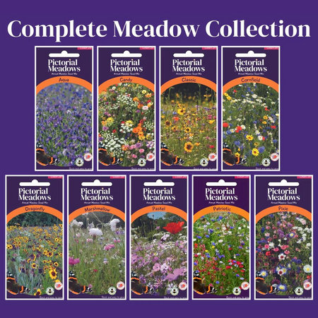 The Complete Meadow Collection - £39.00