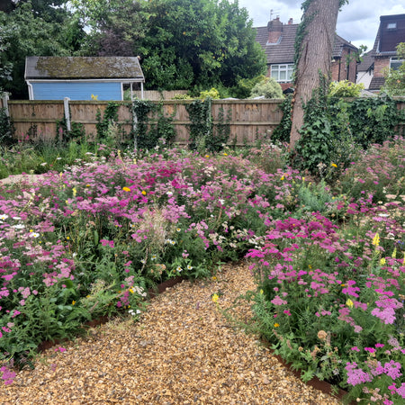 ["Transforming a Derelict Garden"]