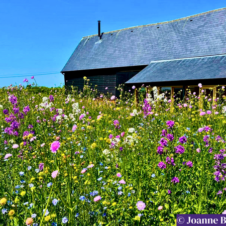 Moody Blues PS02 - From £1.65 per sq m