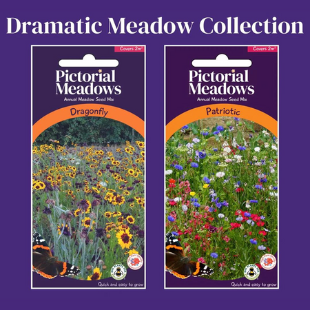 The Dramatic Meadow Collection - £9.00