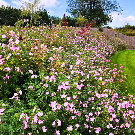 Cottage Garden PS08 - From £1.65 per sq m