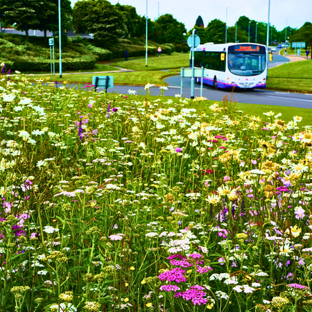 Persian Carpet PS06 - From £1.65 per sq m