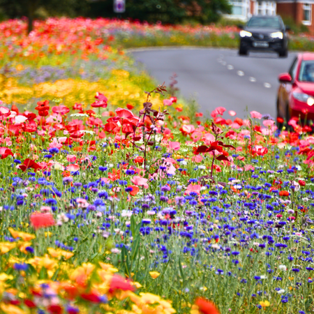 Classic PA01 - From £0.83 per sq m