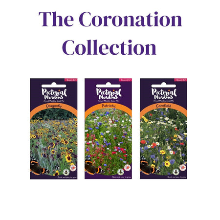 The Coronation Collection - £12.00