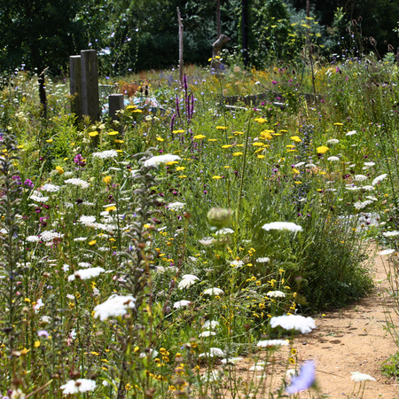 Cottage Garden PS08 - From £1.65 per sq m
