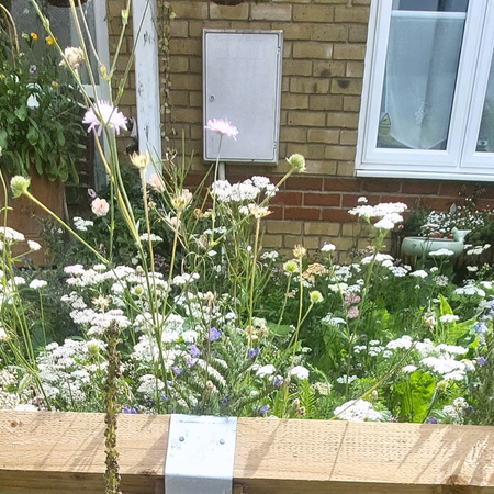 ["Transforming an overgrown front garden with Pictorial Meadows Turf® – Customer Case Study"]