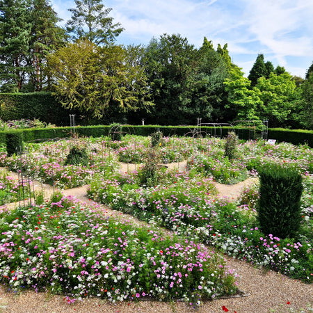 ["Nymans Rose Garden"]
