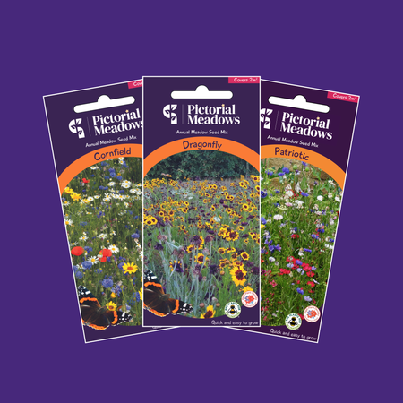 The Coronation Collection - £17.50