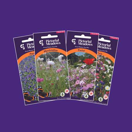 The Dreamy Meadow Collection - £24.00