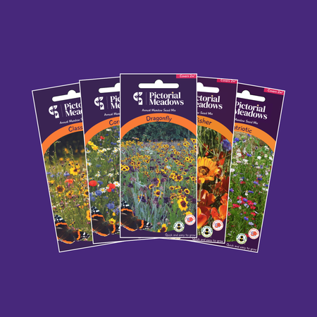 The King's Collection - £30.00