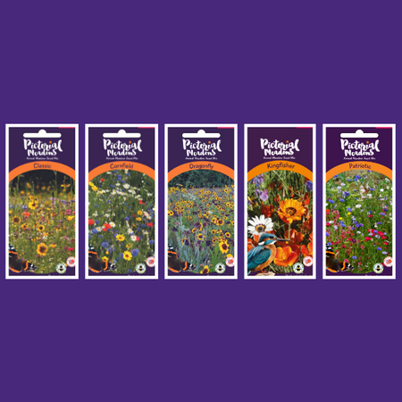 The King's Collection - £30.00
