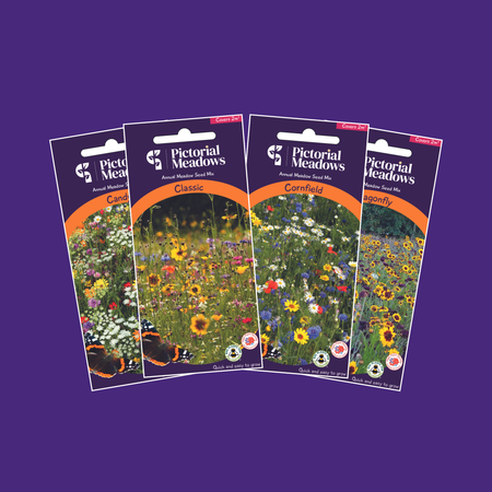 The Vibrant Meadow Collection - £24.00