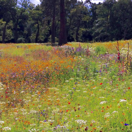 ["Trentham Gardens"]